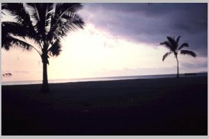 192 Tropisk solnedgång.JPG